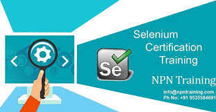 NPN Training NPN training photo 2